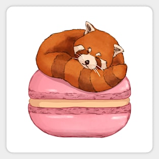 Cute Red Panda and Macaron Magnet